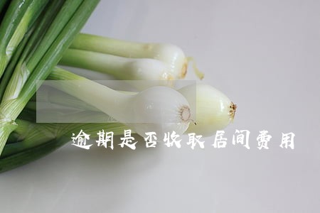 逾期是否收取居间费用 逾期是否收取居间费用