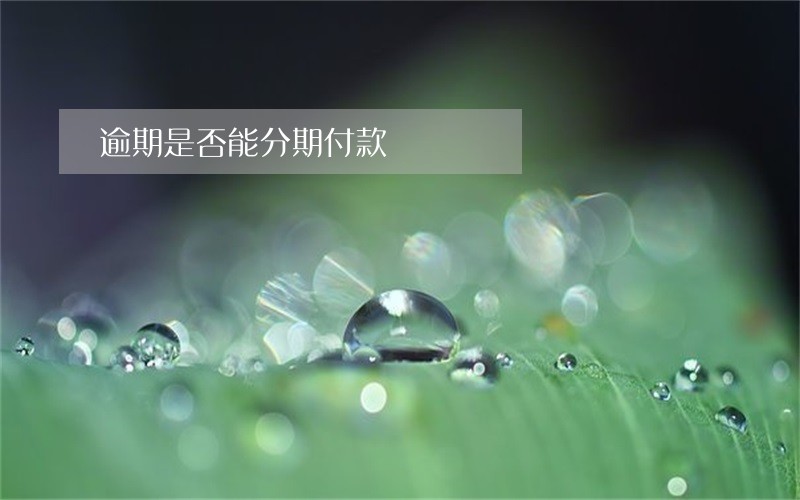 逾期是否能分期付款 逾期是否能分期付款