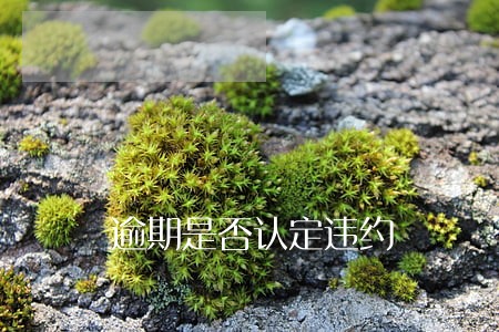逾期是否认定违约 逾期是否认定违约