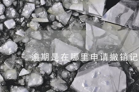逾期是在哪里申请撤销记录 逾期是在哪里申请撤销记录