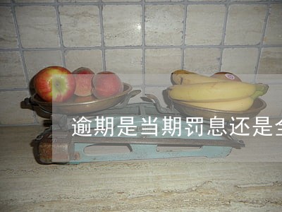 逾期是当期罚息还是全额