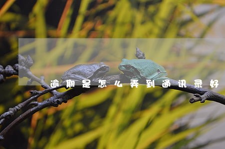 逾期是怎么弄到通讯录好友的 逾期是怎么弄到通讯录好友的