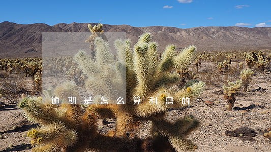 逾期是怎么算利息的