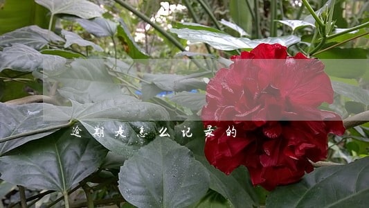 逾期是怎么记录的 逾期是怎么记录的