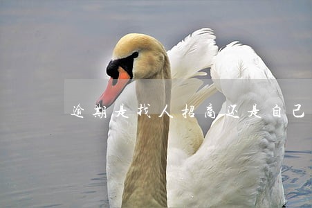逾期是找人招商还是自己协商好