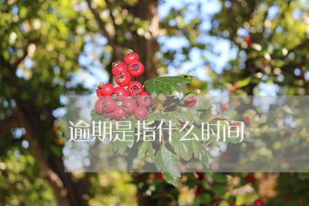 逾期是指什么时间 逾期是指什么时间