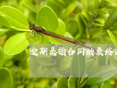 逾期是指合同的最终日期吗 逾期是指合同的最终日期吗