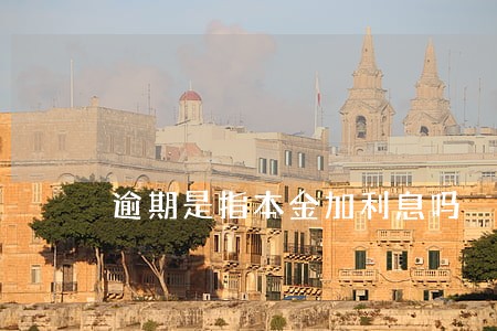 逾期是指本金加利息吗 逾期是指本金加利息吗