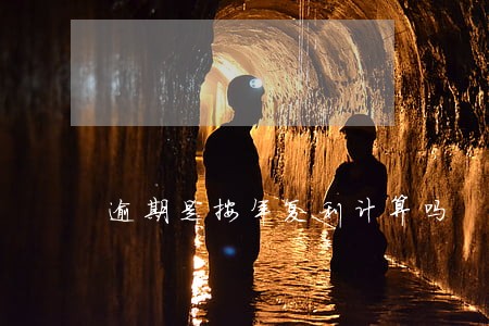 逾期是按年复利计算吗 逾期是按年复利计算吗