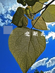 逾期是按总款还是未付款 逾期是按总款还是未付款