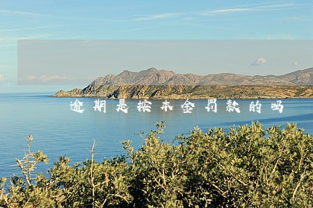 逾期是按本金罚款的吗