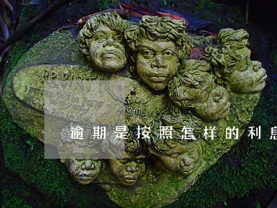 逾期是按照怎样的利息计算的 逾期是按照怎样的利息计算的