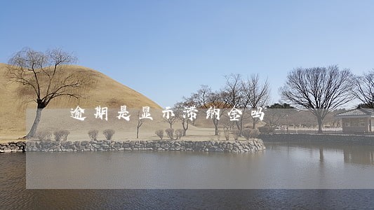 逾期是显示滞纳金吗 逾期是显示滞纳金吗