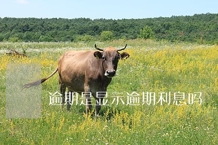 逾期是显示逾期利息吗 逾期是显示逾期利息吗