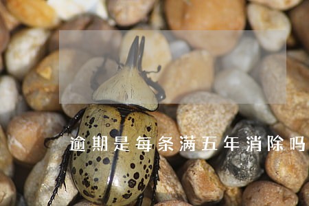 逾期是每条满五年消除吗