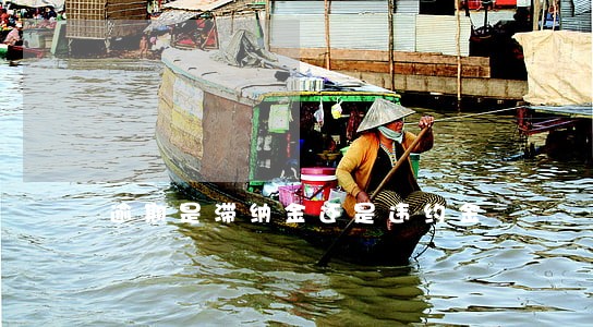 逾期是滞纳金还是违约金 逾期是滞纳金还是违约金