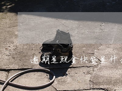 逾期是现金快贷是什么 逾期是现金快贷是什么