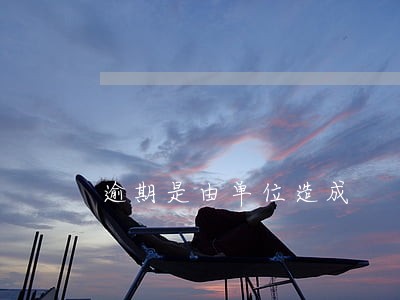 逾期是由单位造成 逾期是由单位造成