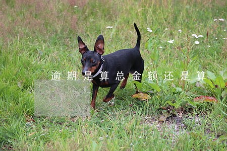 逾期是算总金额还是算 逾期是算总金额还是算