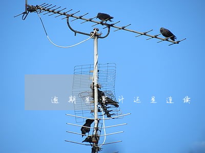 逾期是累计还是连续 逾期是累计还是连续