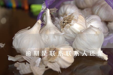 逾期是联系联系人还是 逾期是联系联系人还是