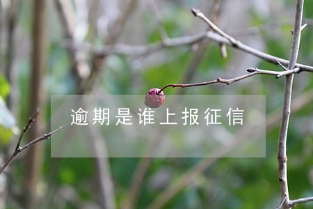 逾期是谁上报征信 逾期是谁上报征信