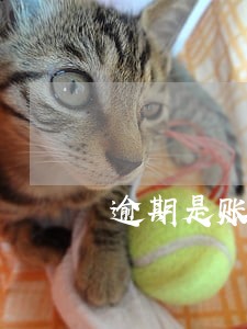 逾期是账单日后算还是