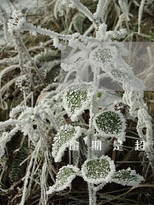 逾期是超过的意思吗 逾期是超过的意思吗