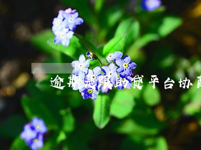 逾期是跟助贷平台协商么