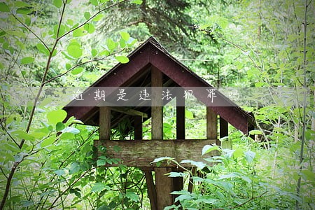 逾期是违法犯罪吗 逾期是违法犯罪吗
