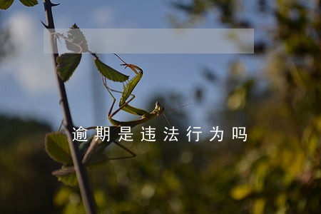 逾期是违法行为吗 逾期是违法行为吗