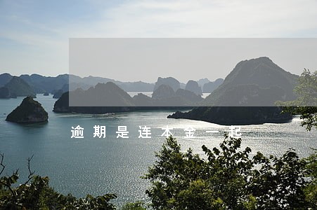 逾期是连本金一起 逾期是连本金一起