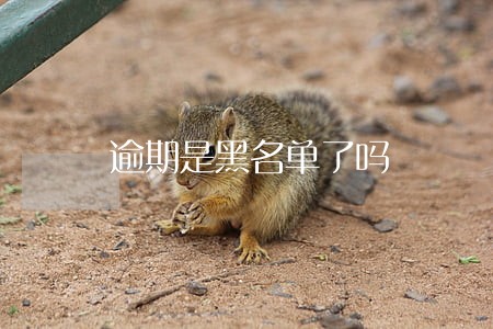 逾期是黑名单了吗