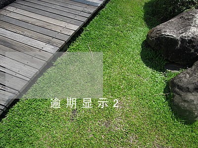 逾期显示2 逾期显示2