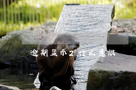 逾期显示2什么意识 逾期显示2什么意识