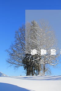 逾期显示不明显 逾期显示不明显