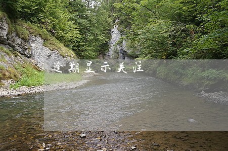 逾期显示关注 逾期显示关注