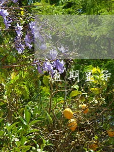 逾期显示呆账后收不到账单 逾期显示呆账后收不到账单