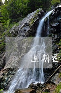 逾期显示失联
