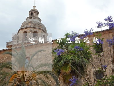 逾期显示无需还款 逾期显示无需还款