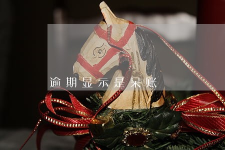 逾期显示是呆账 逾期显示是呆账