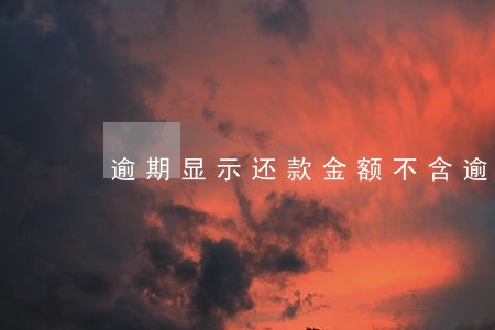 逾期显示还款金额不含逾期费用 逾期显示还款金额不含逾期费用
