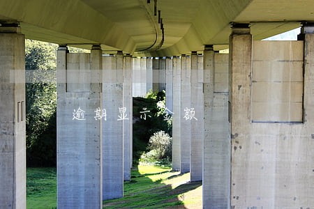 逾期显示金额 逾期显示金额