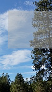 逾期晚上会催收 逾期晚上会催收