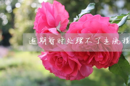 逾期暂时处理不了走流程的后果