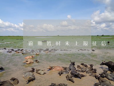 逾期暂时未上报征信 逾期暂时未上报征信