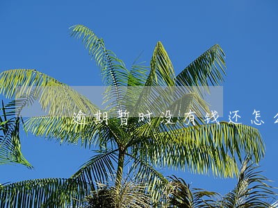 逾期暂时没有钱还怎么办