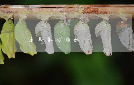 逾期暴力催收 逾期暴力催收