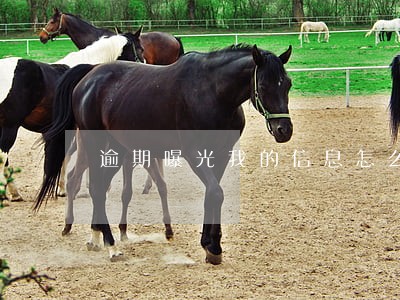 逾期曝光我的信息怎么办 逾期曝光我的信息怎么办