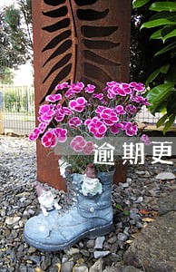 逾期更改个税申报